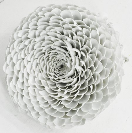 作品