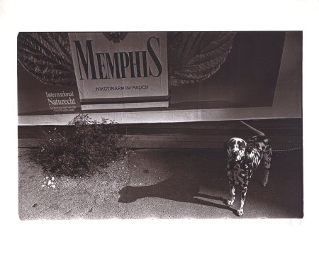 WIEN