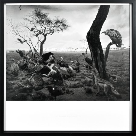 Hyena-Jackal-Vulture
