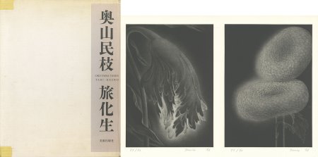 旅化生