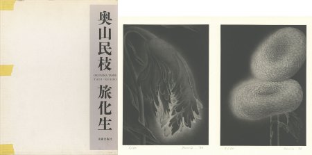 旅化生