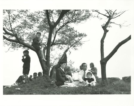 大坂城　1954