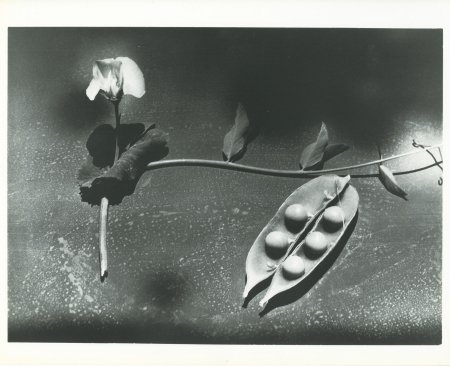 静物　1944