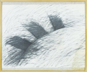 作品