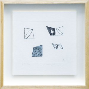 Pages5