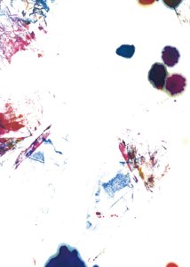 作品